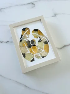 84d438df a525 4844 82c9 3d449f9955f6