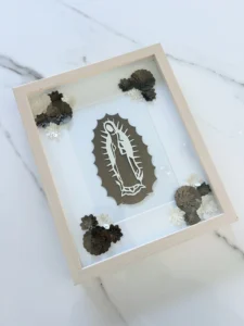 9b3f888a 47ca 4512 8a52 fb502b9bfa5f